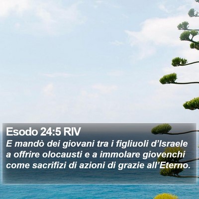 Esodo 24:5 RIV Bible Verse Image