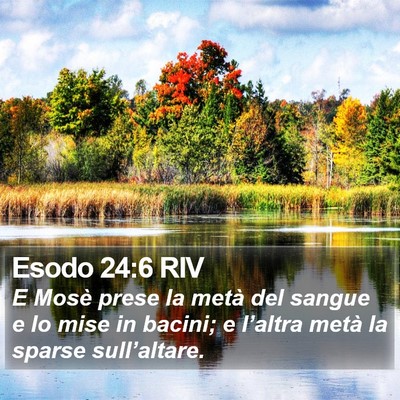 Esodo 24:6 RIV Bible Verse Image