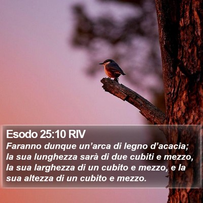 Esodo 25:10 RIV Bible Verse Image
