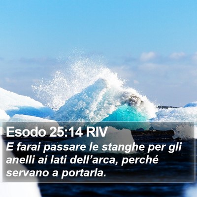 Esodo 25:14 RIV Bible Verse Image