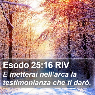 Esodo 25:16 RIV Bible Verse Image