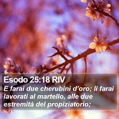 Esodo 25:18 RIV Bible Verse Image