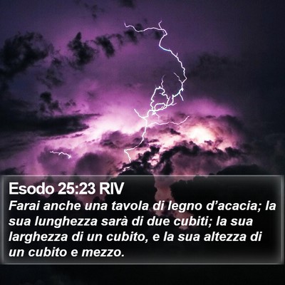 Esodo 25:23 RIV Bible Verse Image