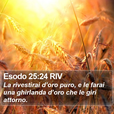 Esodo 25:24 RIV Bible Verse Image
