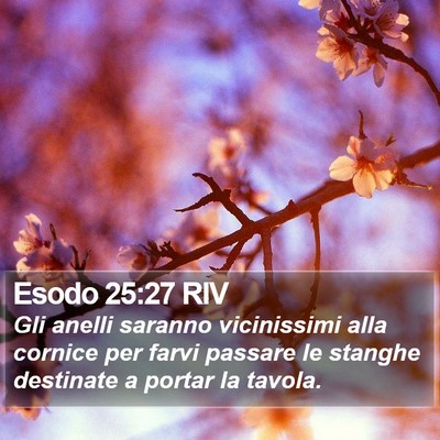 Esodo 25:27 RIV Bible Verse Image