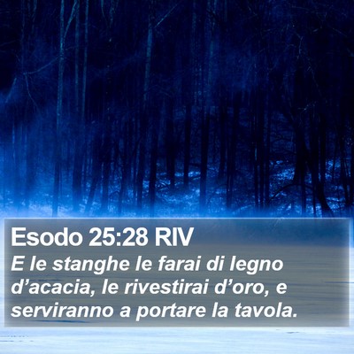Esodo 25:28 RIV Bible Verse Image