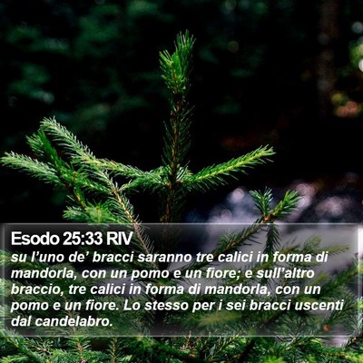 Esodo 25:33 RIV Bible Verse Image