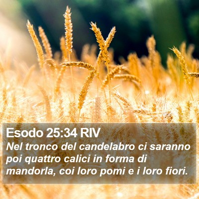 Esodo 25:34 RIV Bible Verse Image
