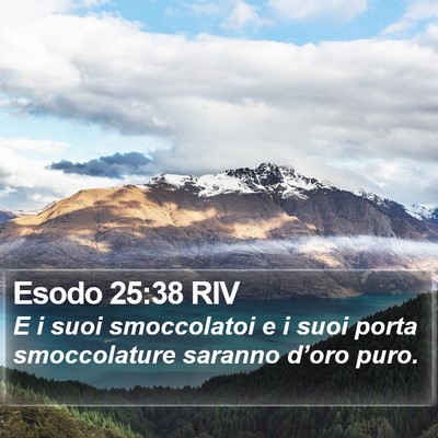 Esodo 25:38 RIV Bible Verse Image
