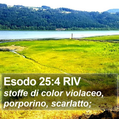 Esodo 25:4 RIV Bible Verse Image