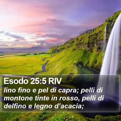 Esodo 25:5 RIV Bible Verse Image