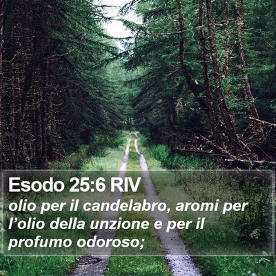 Esodo 25:6 RIV Bible Verse Image