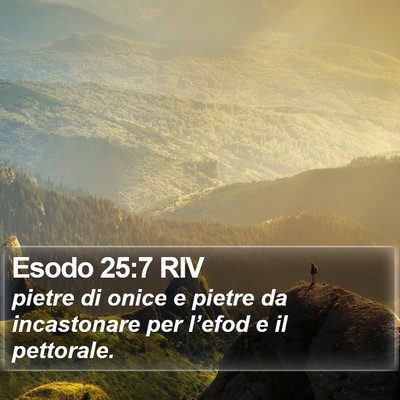 Esodo 25:7 RIV Bible Verse Image