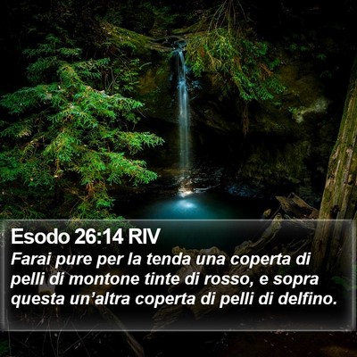 Esodo 26:14 RIV Bible Verse Image