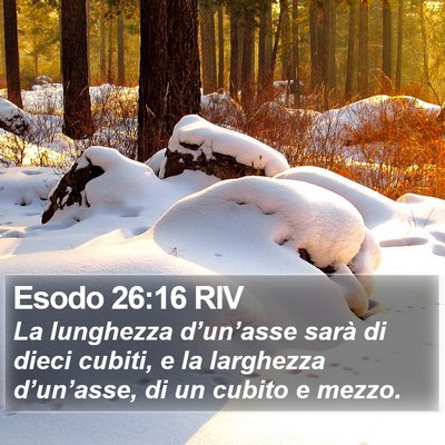 Esodo 26:16 RIV Bible Verse Image