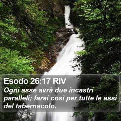 Esodo 26:17 RIV Bible Verse Image