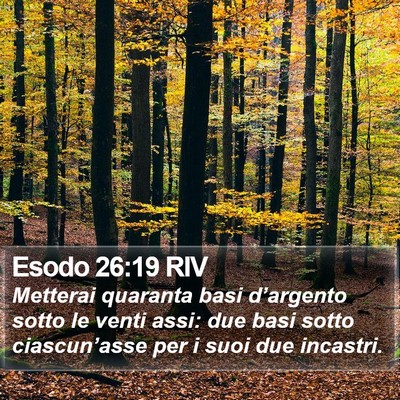 Esodo 26:19 RIV Bible Verse Image