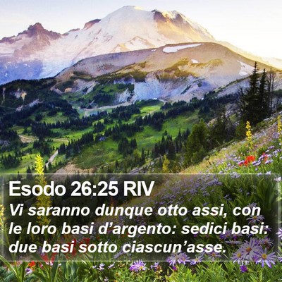 Esodo 26:25 RIV Bible Verse Image