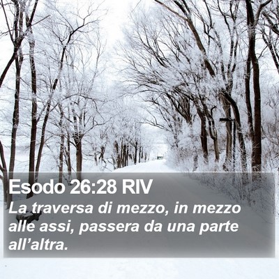 Esodo 26:28 RIV Bible Verse Image