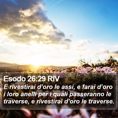 Esodo 26:29 RIV Bible Verse Image