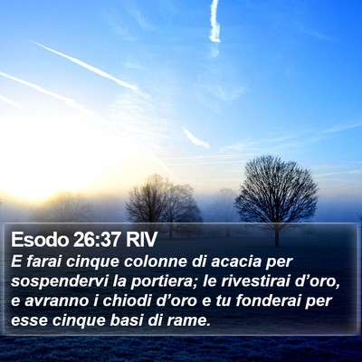 Esodo 26:37 RIV Bible Verse Image