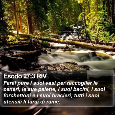 Esodo 27:3 RIV Bible Verse Image