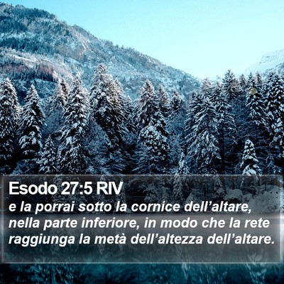 Esodo 27:5 RIV Bible Verse Image
