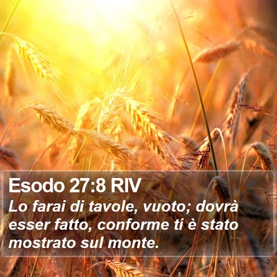 Esodo 27:8 RIV Bible Verse Image