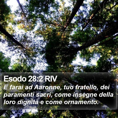 Esodo 28:2 RIV Bible Verse Image