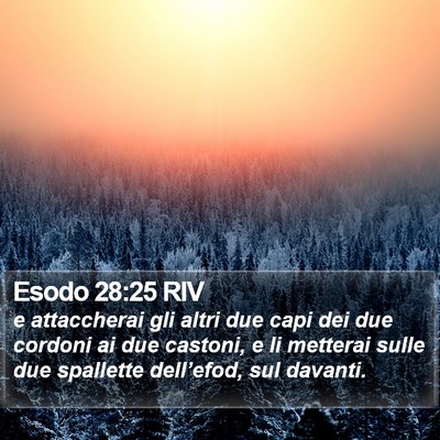 Esodo 28:25 RIV Bible Verse Image