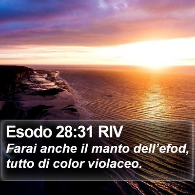 Esodo 28:31 RIV Bible Verse Image