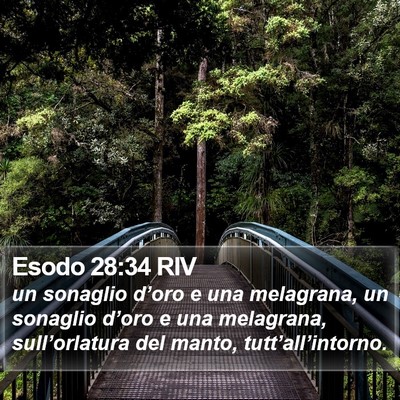 Esodo 28:34 RIV Bible Verse Image