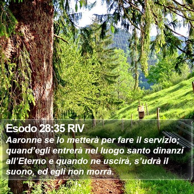 Esodo 28:35 RIV Bible Verse Image