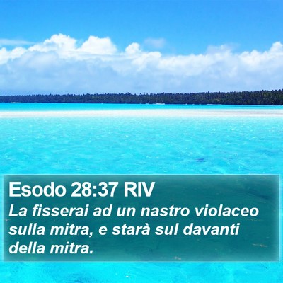 Esodo 28:37 RIV Bible Verse Image