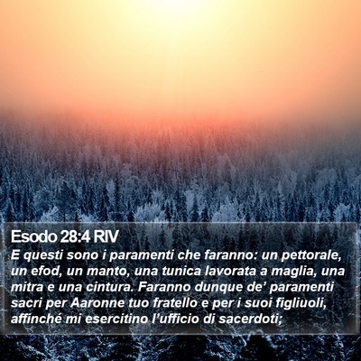 Esodo 28:4 RIV Bible Verse Image