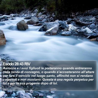 Esodo 28:43 RIV Bible Verse Image