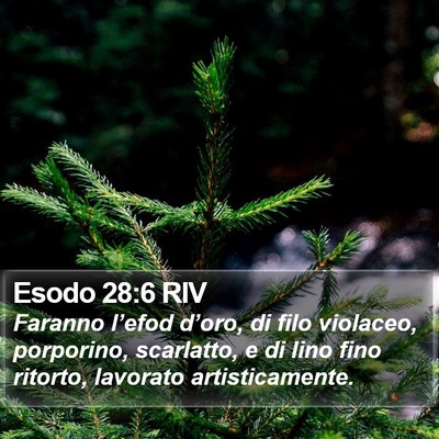 Esodo 28:6 RIV Bible Verse Image