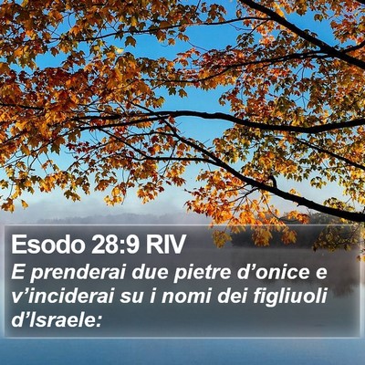 Esodo 28:9 RIV Bible Verse Image