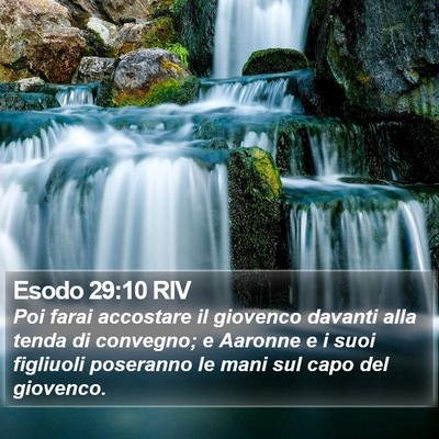 Esodo 29:10 RIV Bible Verse Image