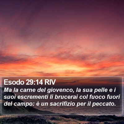 Esodo 29:14 RIV Bible Verse Image