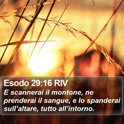 Esodo 29:16 RIV Bible Verse Image