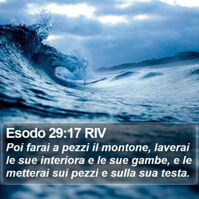 Esodo 29:17 RIV Bible Verse Image