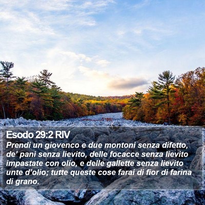Esodo 29:2 RIV Bible Verse Image
