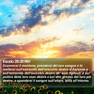Esodo 29:20 RIV Bible Verse Image