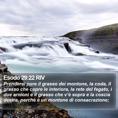 Esodo 29:22 RIV Bible Verse Image