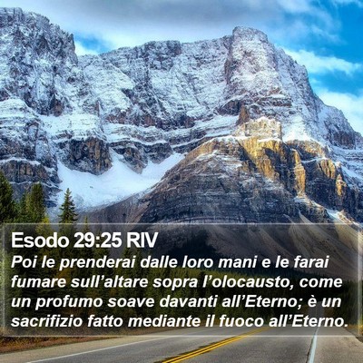 Esodo 29:25 RIV Bible Verse Image