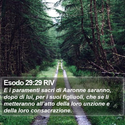 Esodo 29:29 RIV Bible Verse Image