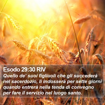 Esodo 29:30 RIV Bible Verse Image