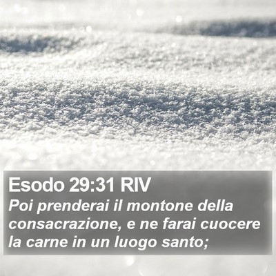 Esodo 29:31 RIV Bible Verse Image