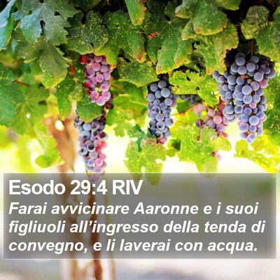 Esodo 29:4 RIV Bible Verse Image
